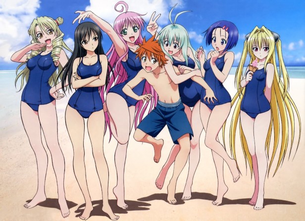 To Love Ru. Animoku an Anime Blog. Top 10 Ecchi Harem Anime.